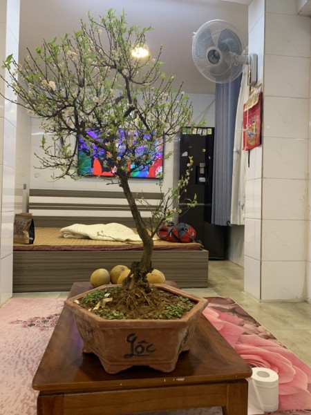 Chính chủ bán nhà 2 tầng 1 gác lửng tại Ngõ 15 đường Hồng Hà, Phúc Xá. Ba Đình, DT 30m2 Giá 980 triệu LH 0976131114