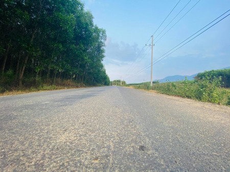 Bán đất xã Diên Tân, Diên Khánh rộng 6.300m2 giá rẻ LH 0788.558.552