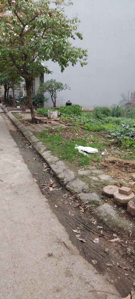 Chỉ 3,3 tỷ 50m đất, Ngô Thì Nhậm phân lô ô tô đỗ trước sau