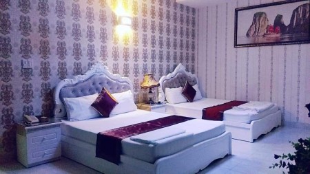 Bán Khách Sạn Khu Tên Lửa Bình Tân Ngang 10m View Công Viên Diện Tích 220m2