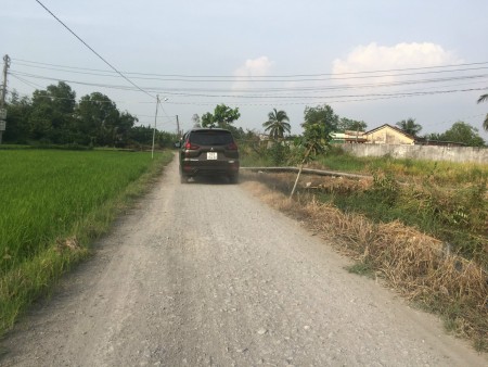 Đất Mặt Tiền Đường Ấp Nhà Trường Tân Lân Cần Đước
