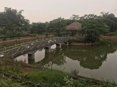 Đi đến slide 6