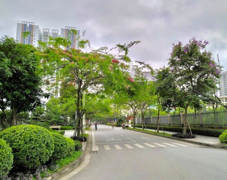 Đi đến slide 2