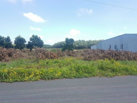 Cần bán gấp đất TP Đồng Xoài diện tích 1000m2 giá 600 triệu