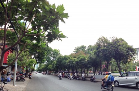 Cho thuê nhà Lê Lai, Quận 1, dt 3.8x28 giá 55 triệu Trệt gác