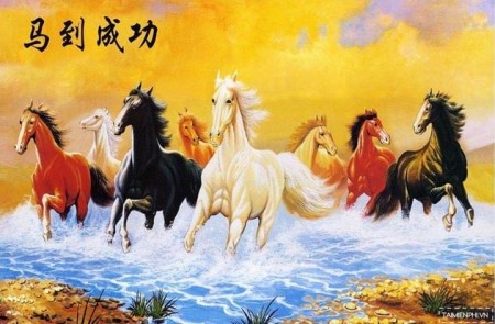 Nguyen Hoang Tuan