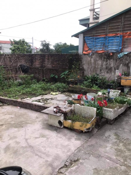 Bán 37m đất đường thông oto qua Trâu Quỳ Gia Lâm giá chỉ 2,32 tỷ bao phí