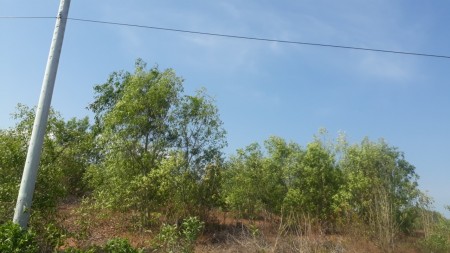 Đi đến slide 6