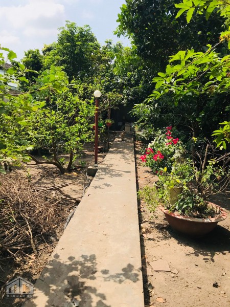 Đi đến slide 8