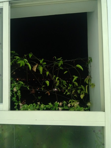 Đi đến slide 6