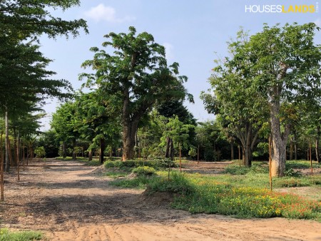 Đi đến slide 7