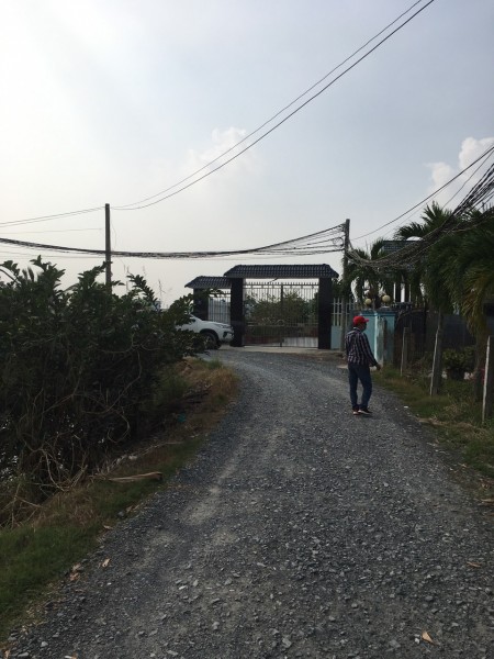 Hàng Ngộp! Chính chủ cần bán gấp lô đất 96m2 đường Đức Hòa Thượng, Giá 500 triệu, SHR