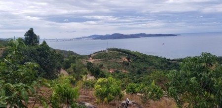CẦN BÁN ĐẤT ĐẸP THÍCH HỢP LÀM KHU NGHỈ DƯỠNG Ở QUY NHƠN – BÌNH ĐỊNH