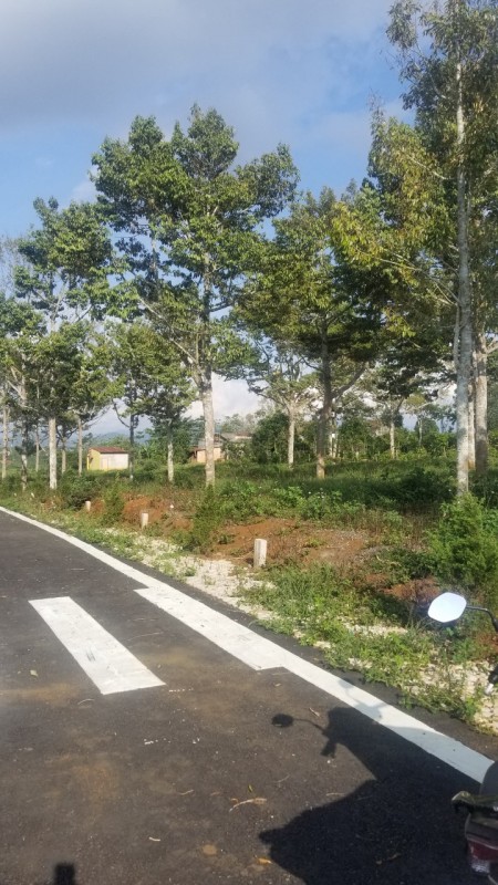 Đi đến slide 15