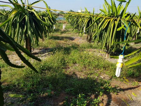 Đi đến slide 2