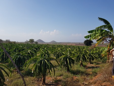 Đi đến slide 3