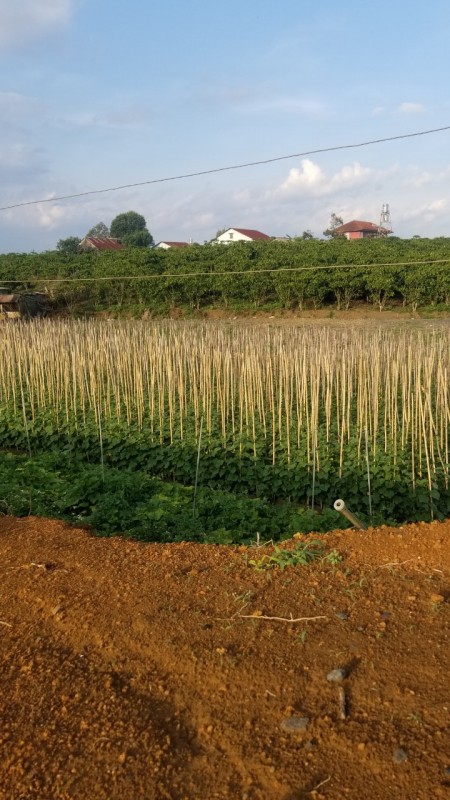 Đi đến slide 14