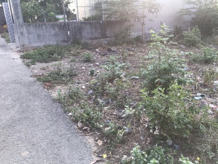 Đất Biên Hòa 323tr/100m2 ngay đường Phùng Hưng, thổ cư 50m2