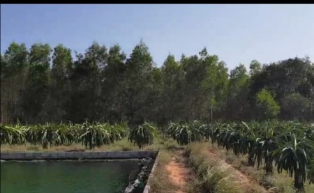 Đi đến slide 7