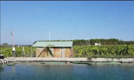 Đi đến slide 8