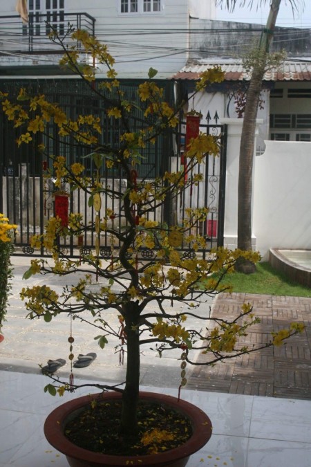 Đi đến slide 5