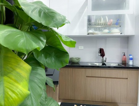 Dòng Tiền Cao, Bán Chung Cư Mini Nhân Hòa, 60 mét x 5 tầng, nhỉnh 7 tỷ