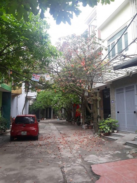 Cực Hiếm, Không có căn thứ 2, Siêu Phẩm.