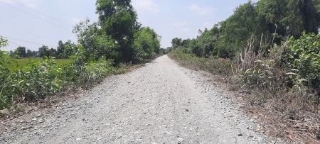 Chính chủ bán gấp 4000m2 Đất đường lớn Tân Bửu, giáp Bình Chánh 2km, giá 4ty800tr.