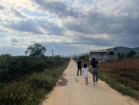Đi đến slide 6