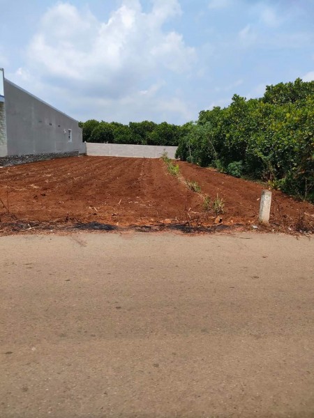 TẠI SAO PHẢI ĐẦU TƯ LONG THÀNH TẠI THỜI ĐIỂM NÀY