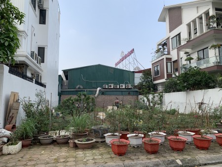 Bán lô đất 136m2 tại khu 31ha, không lỗi, vị trí trung tâm rất đẹp.