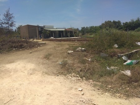 Đi đến slide 6