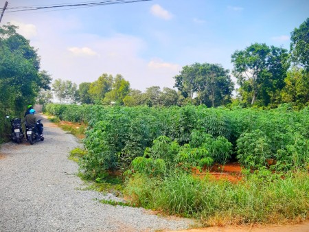 Đừng tìm thêm nữa! Lô đất giá quá rẻ dành cho anh/chị muốn mua đất đầu tư, xây nhà nhà Vườn ở Long Thành