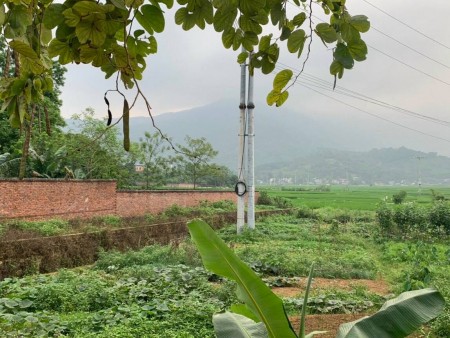 BÁN ĐẤT TIẾN XUÂN THẠCH THẤT - HƠN 2000M VIEW CÁNH ĐỒNG THOÁNG RỘNG, GIÁ RẺ CHO CÁC NHÀ ĐẦU TƯ