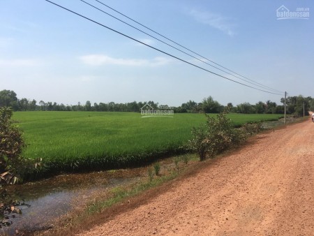 BÁN ĐẤT THỔ VƯỜN ĐƯỜNG TỈNH LỘ 830, XÃ KHÁNH HÒA NAM, LONG AN