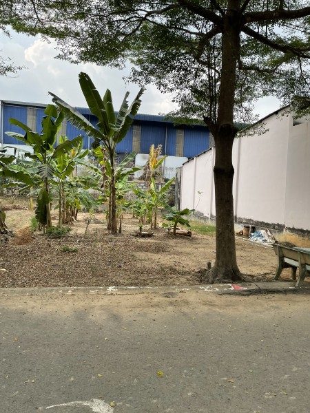 Cần tiền trả nợ gia đình tôi cần bán lô đất sát quốc lộ 13, đường thông dân đông