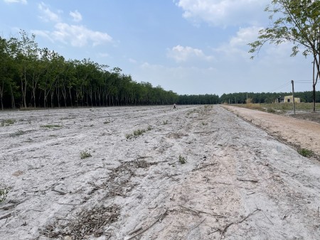 Bán đất xã Suối Dây, huyện Tân Châu, tỉnh Tây Ninh giá rẻ