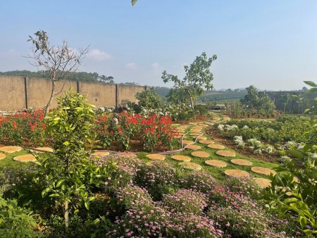 Đi đến slide 2