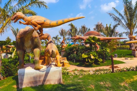 Đi đến slide 31