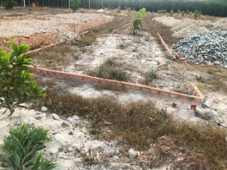 CƠN SỐT ĐẤT CHƠN THÀNH, BÌNH PHƯỚC