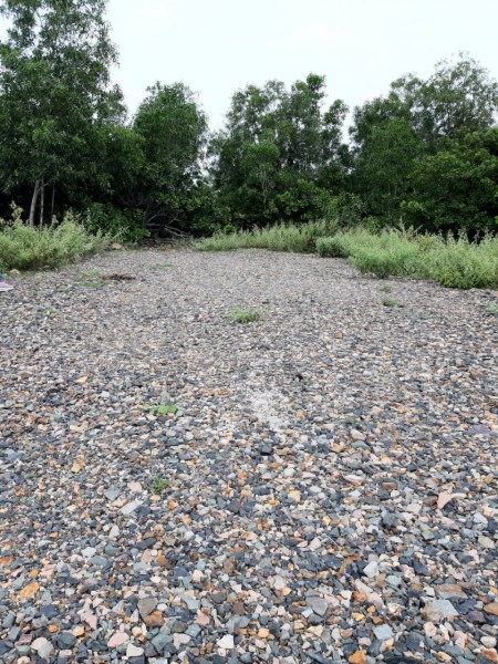Đi đến slide 6