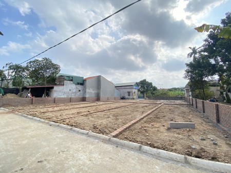 Đất Nền Phân Lô Giá Rẻ An Lão - Hải Phòng
