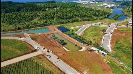 Đất Đồi chè tâm châu hót nhất thành phố Bảo Lộc