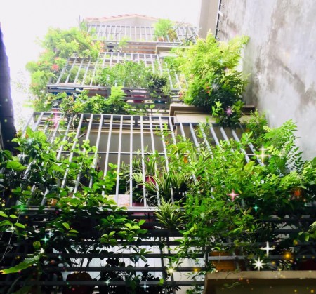 Đất Lộc cực phát 50m2*4T Bạch Mai chỉ 2.3 tỷ