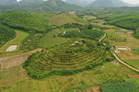 SIÊU PHẨM NGHỈ DƯỠNG TẠI KIM BÔI HÒA BÌNH - 1,8HA VIEW SIÊU ĐẸP, GIÁ SIÊU RẺ