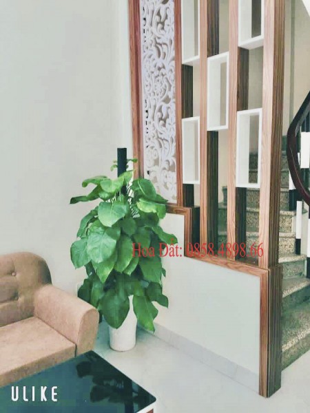 Nhà Đẹp Xuân Đỉnh Muốn Bán 35m2 Chỉ 3,2 tỷ Hàng Hiếm Bay Nhanh