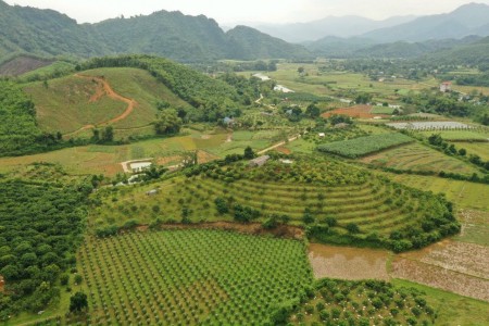 Đi đến slide 4