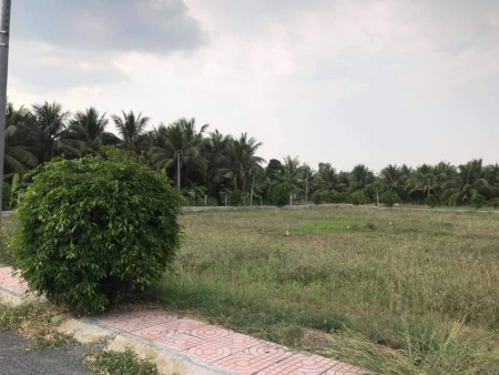 Đất nền khu công nghiệp Tân Hương