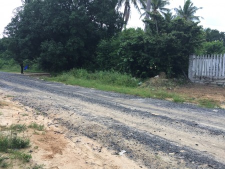 Cho thuê đất 2 mặt tiền Đường số 1 hẻm ô tô, Cam Thành Bắc, Cam Lâm, ô tô tải 2 chiều 1160m2/2tr/tháng