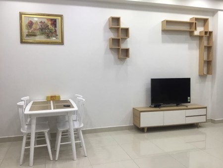 Cho thuê căn hộ Emerald Celadon City Tân Phú giá siêu rẻ